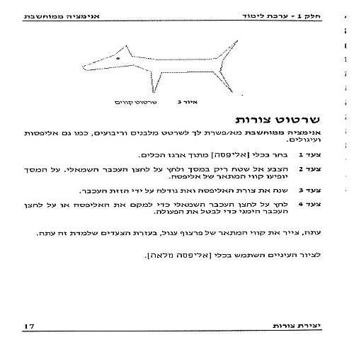 תמונה מתוך המדריך