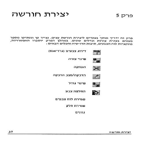 תמונה מתוך המדריך
