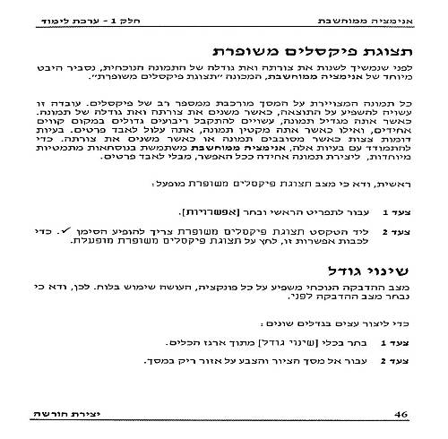 תמונה מתוך המדריך