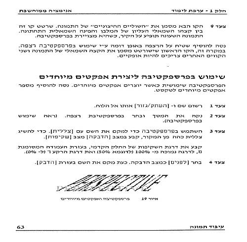 תמונה מתוך המדריך