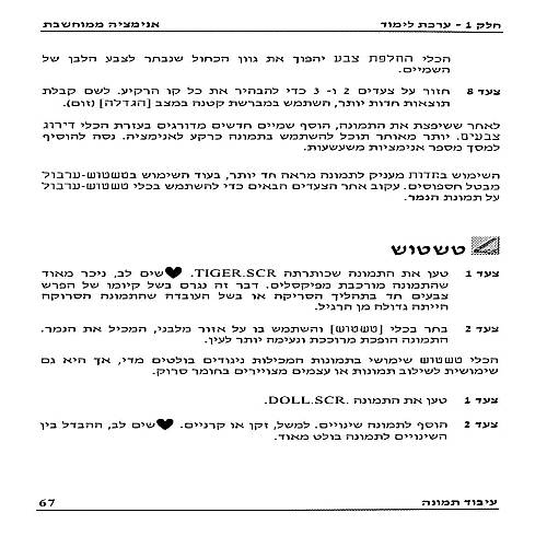 תמונה מתוך המדריך