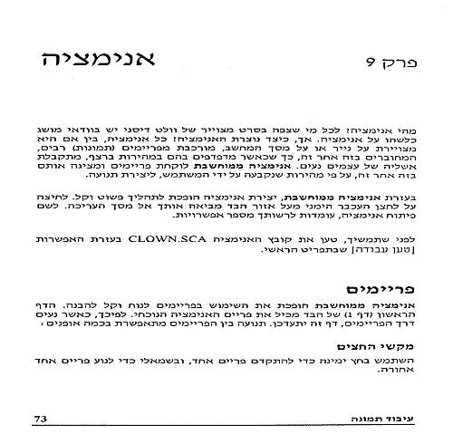 תמונה מתוך המדריך