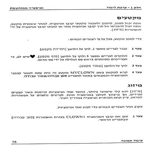 תמונה מתוך המדריך