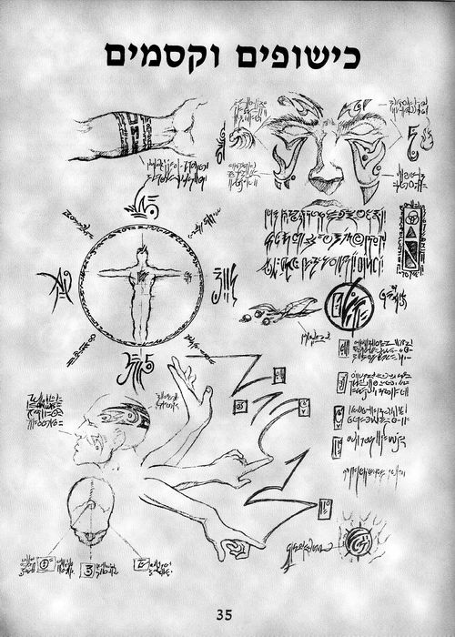 תמונה מתוך המדריך