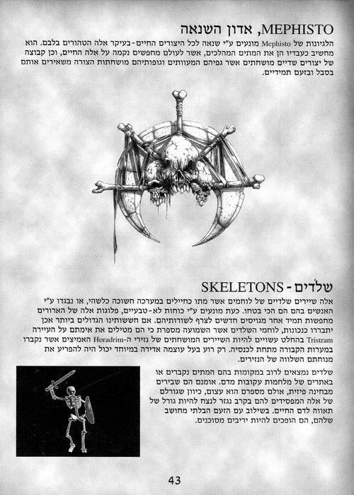 תמונה מתוך המדריך