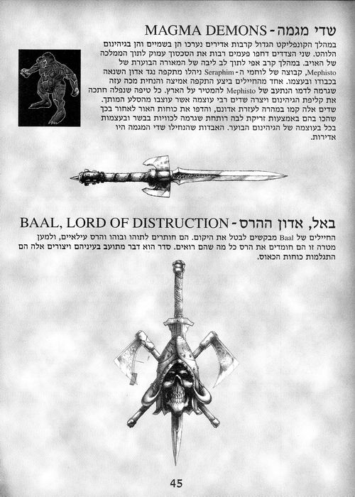 תמונה מתוך המדריך