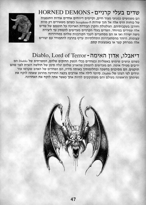 תמונה מתוך המדריך