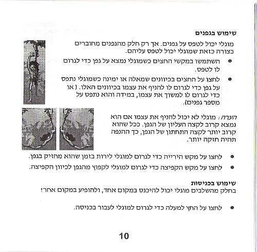 תמונה מתוך המדריך