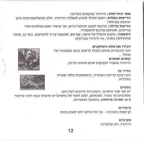 תמונה מתוך המדריך