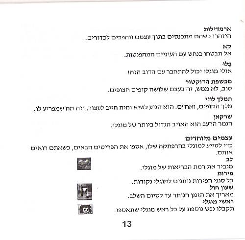 תמונה מתוך המדריך