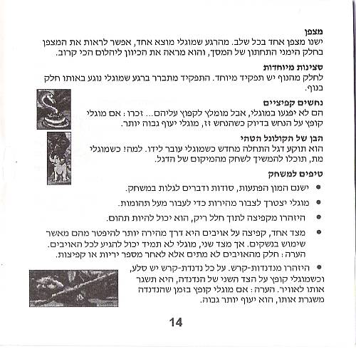 תמונה מתוך המדריך