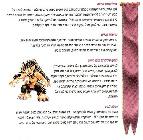 תמונה מתוך המדריך