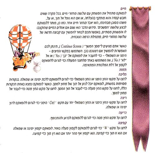 תמונה מתוך המדריך