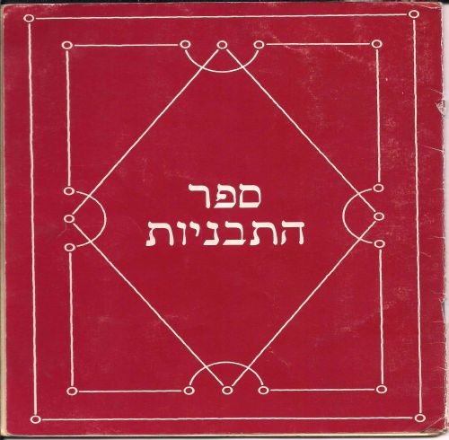 תמונה מתוך המדריך