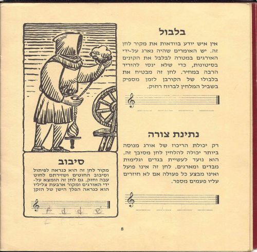 תמונה מתוך המדריך