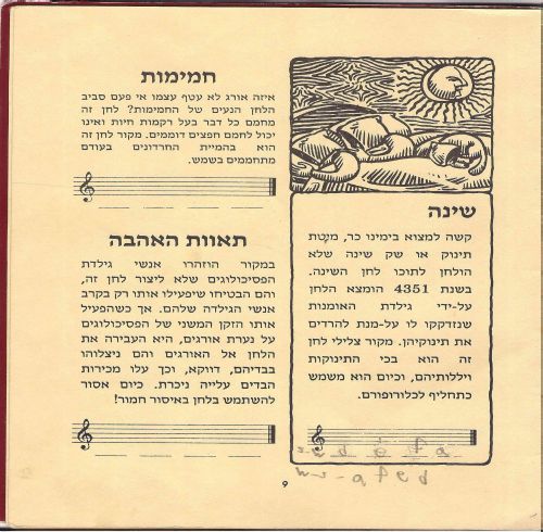 תמונה מתוך המדריך