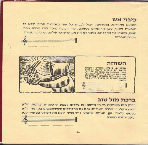 תמונה מתוך המדריך