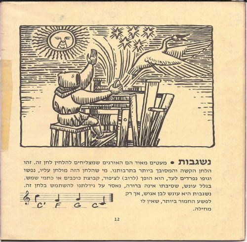 תמונה מתוך המדריך