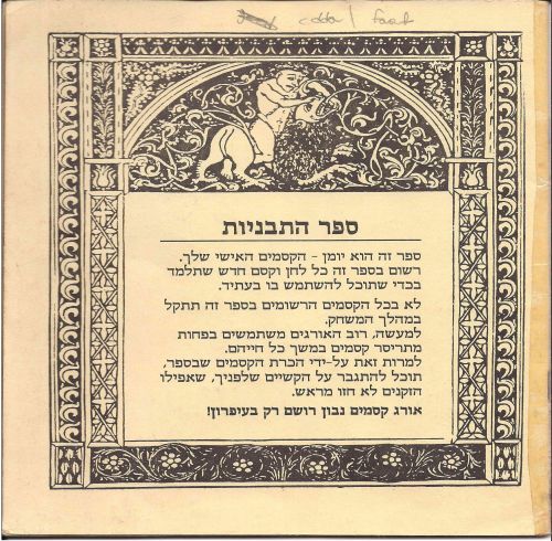 תמונה מתוך המדריך