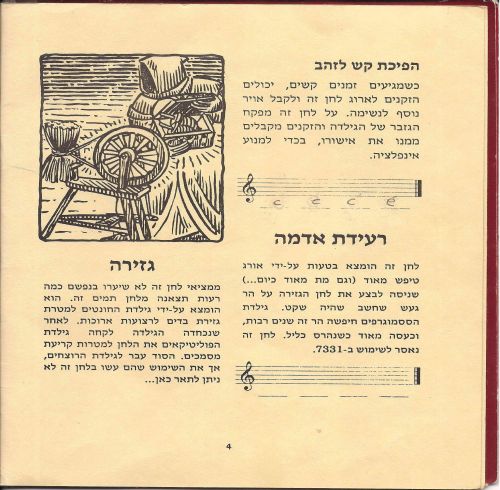 תמונה מתוך המדריך