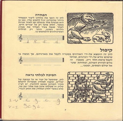 תמונה מתוך המדריך