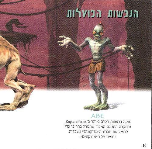 תמונה מתוך המדריך