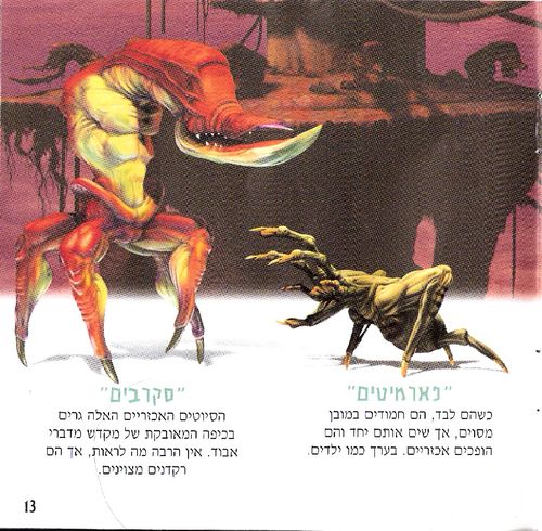 תמונה מתוך המדריך