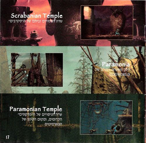 תמונה מתוך המדריך