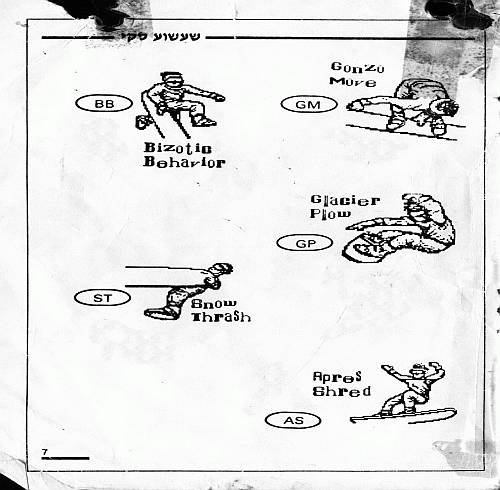 תמונה מתוך המדריך