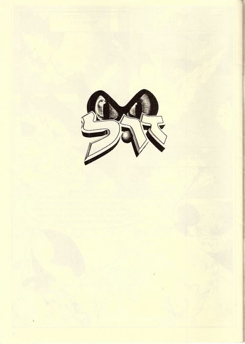 תמונה מתוך המדריך