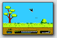 Duck Hunt