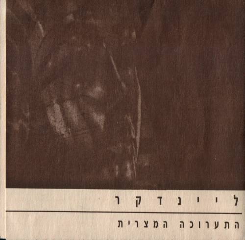 תמונה מתוך המדריך
