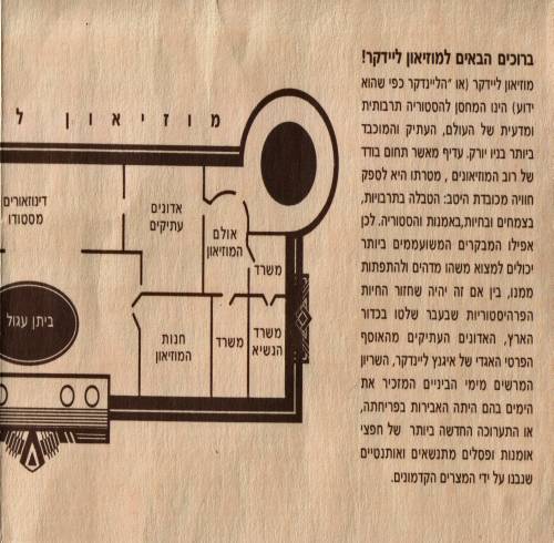 תמונה מתוך המדריך