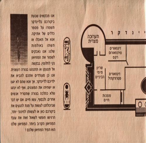 תמונה מתוך המדריך