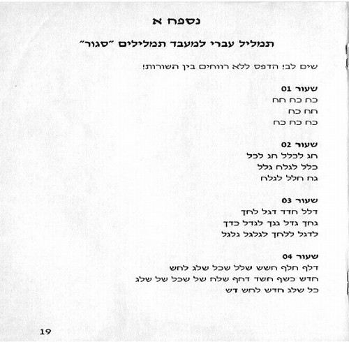 תמונה מתוך המדריך