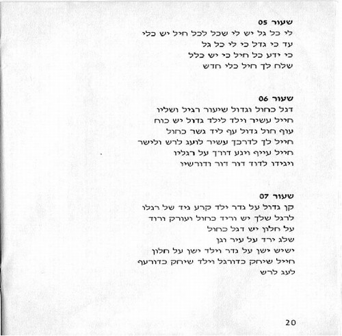 תמונה מתוך המדריך