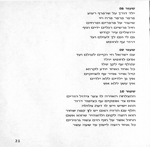 תמונה מתוך המדריך