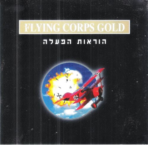 תמונה מתוך המדריך