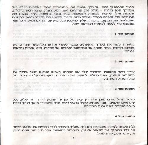 תמונה מתוך המדריך