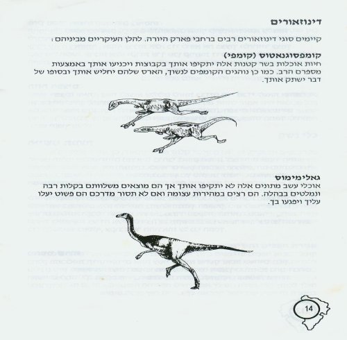 תמונה מתוך המדריך