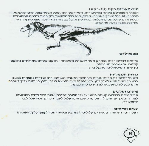 תמונה מתוך המדריך