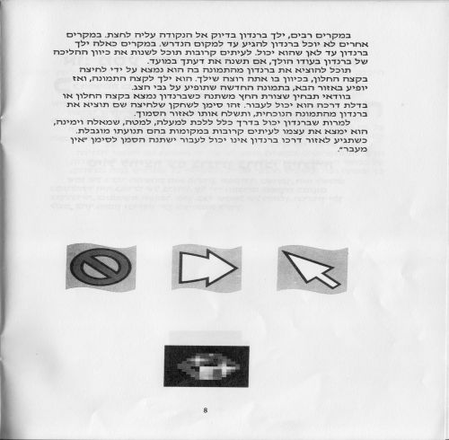 תמונה מתוך המדריך