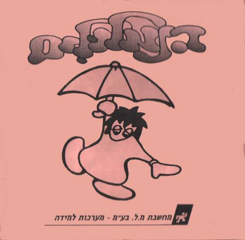 תמונה מתוך המדריך