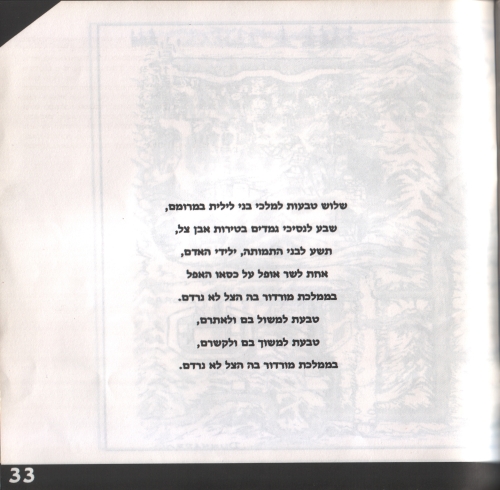 תמונה מתוך המדריך
