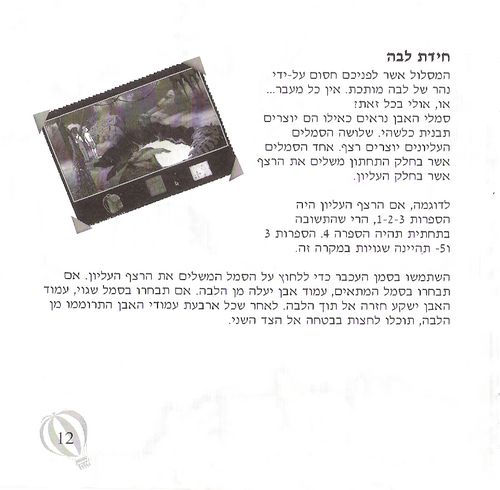 תמונה מתוך המדריך