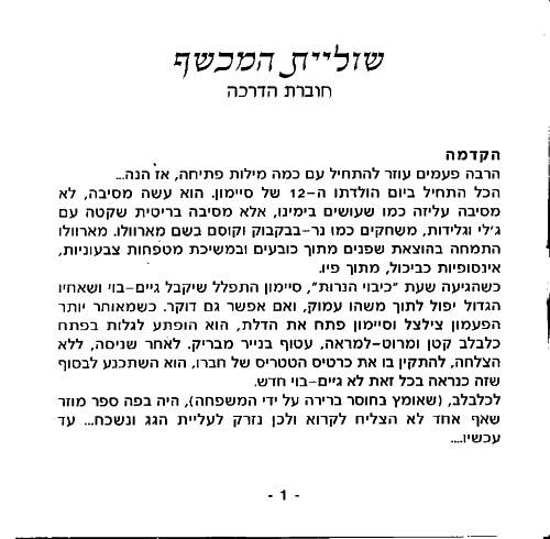 תמונה מתוך המדריך