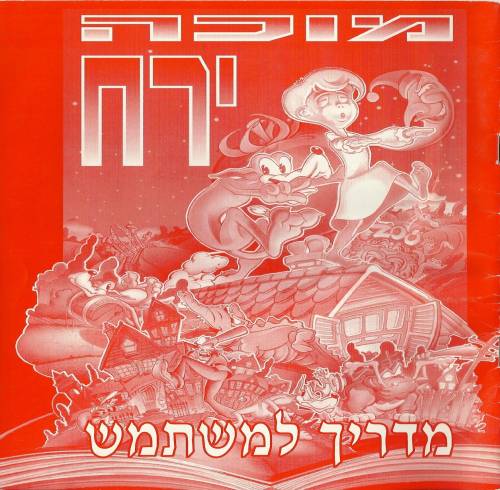 תמונה מתוך המדריך